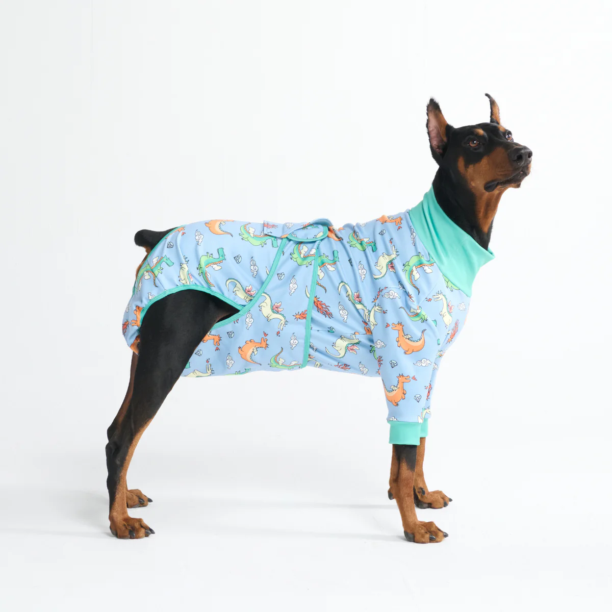 Product image 101
