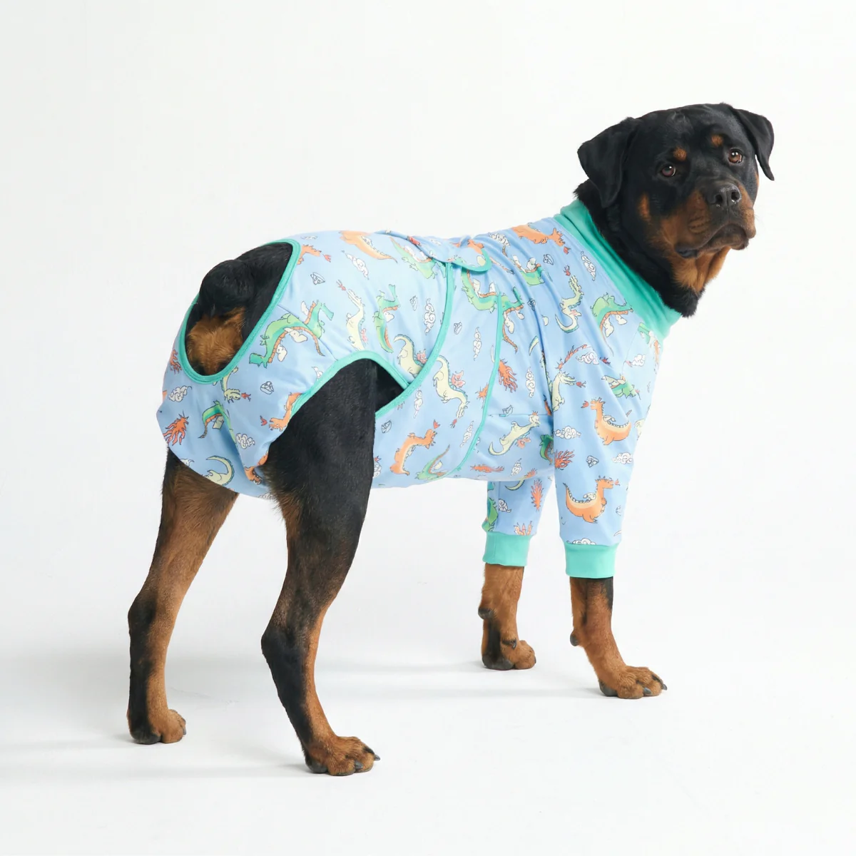 Product image 102