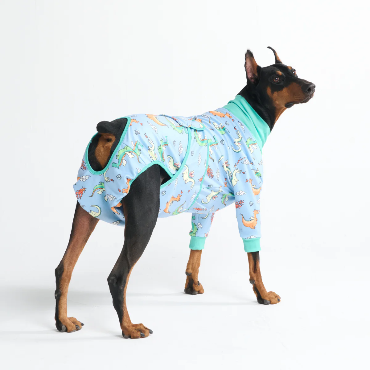 Product image 106