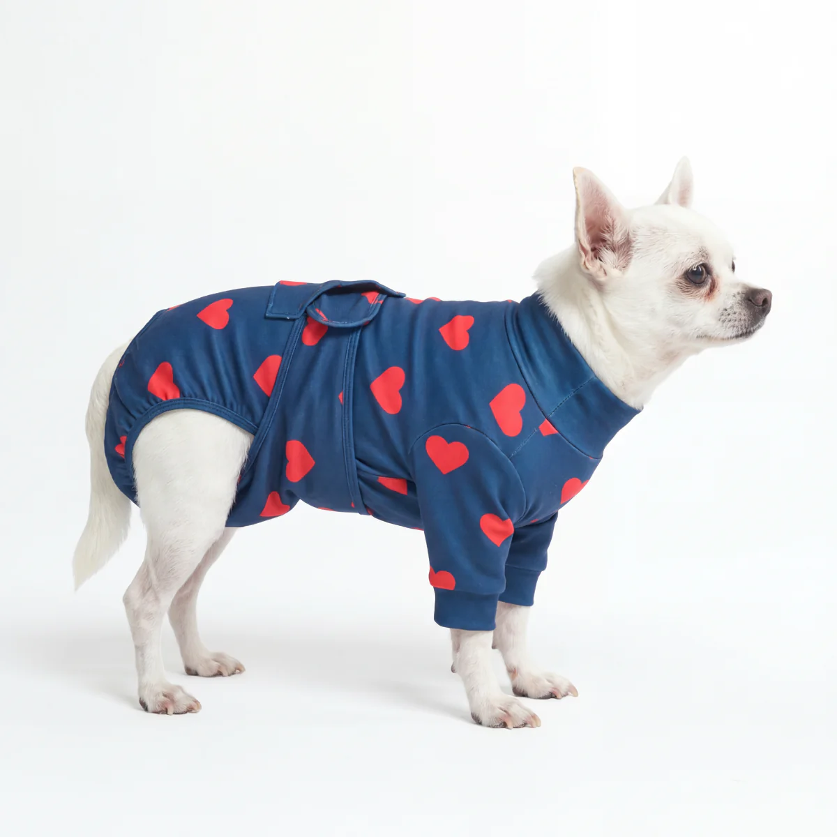 Product image 51