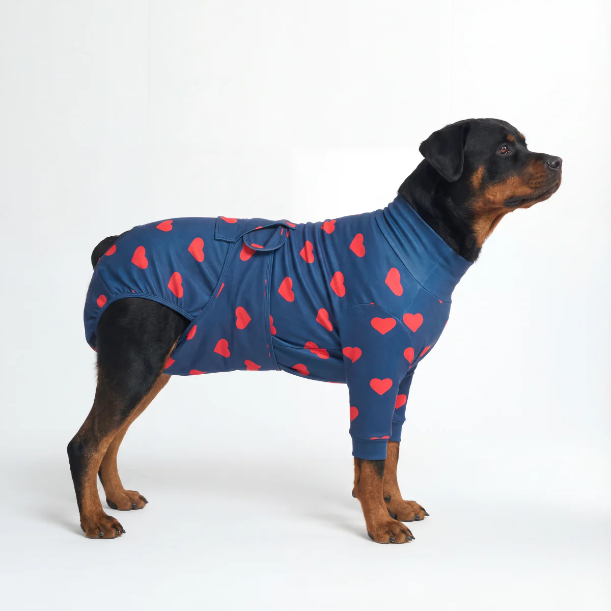 Product image 54