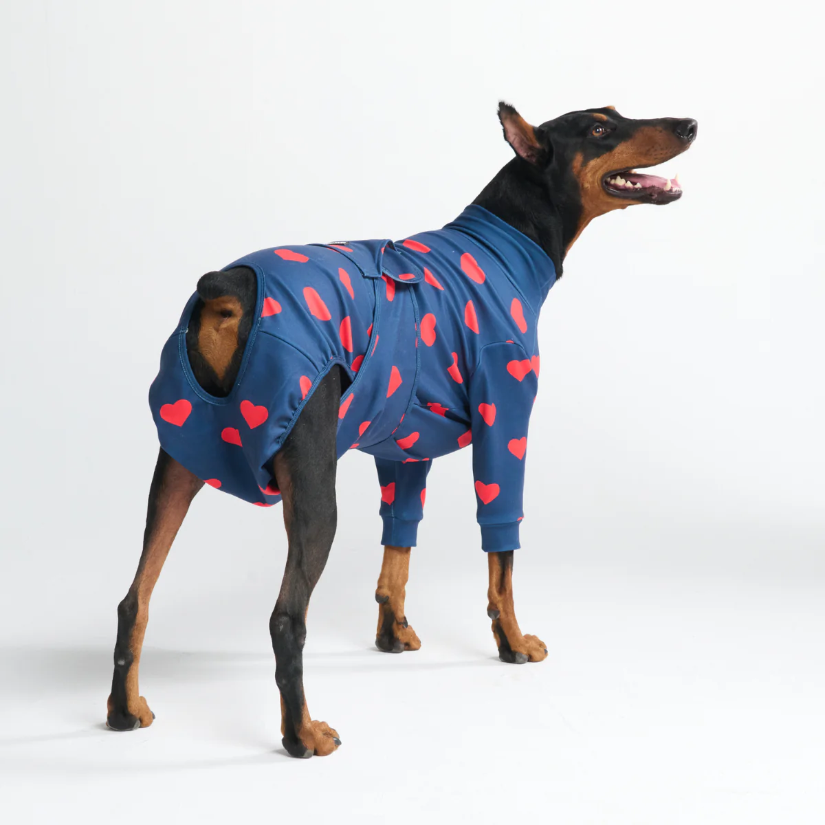 Product image 58