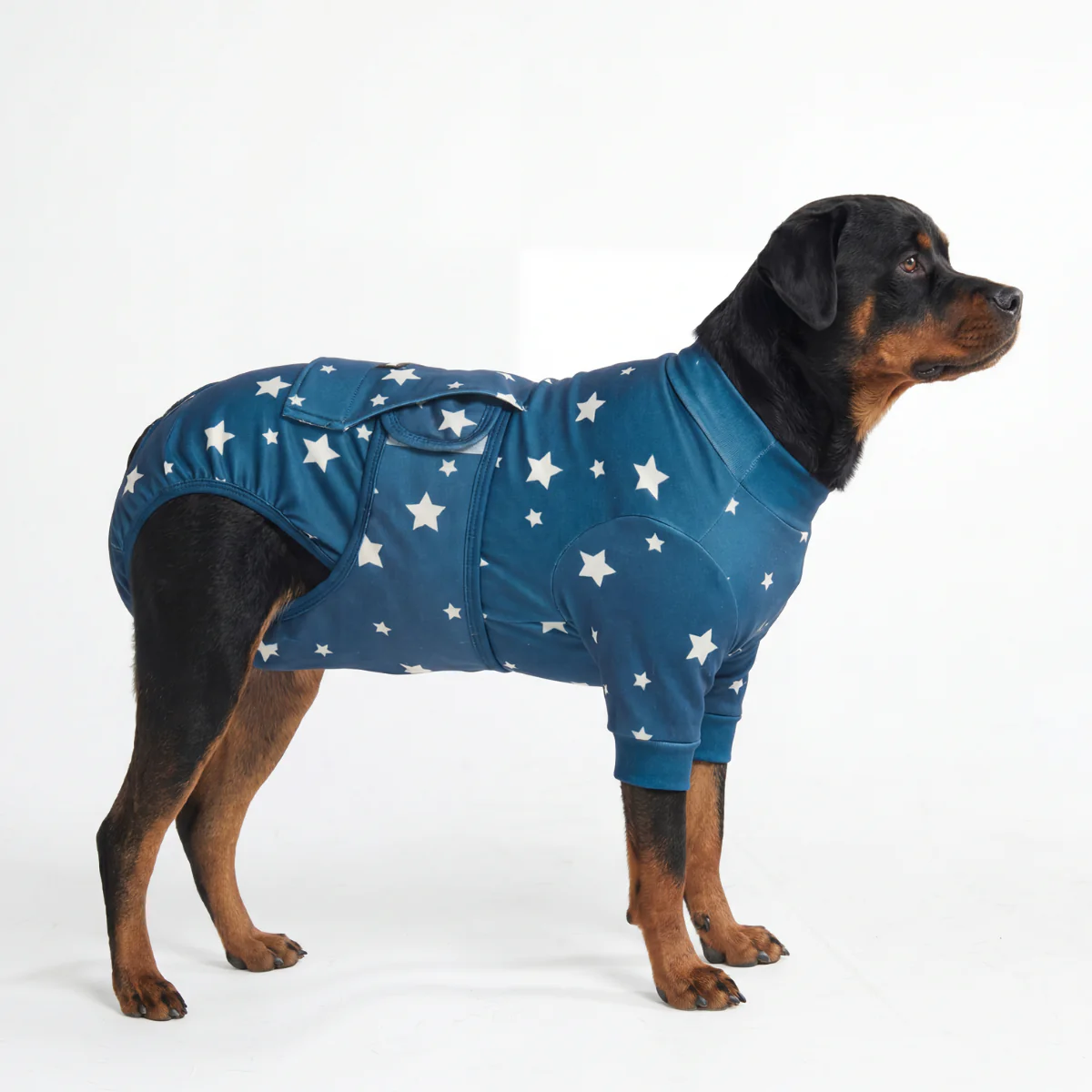 Product image 66