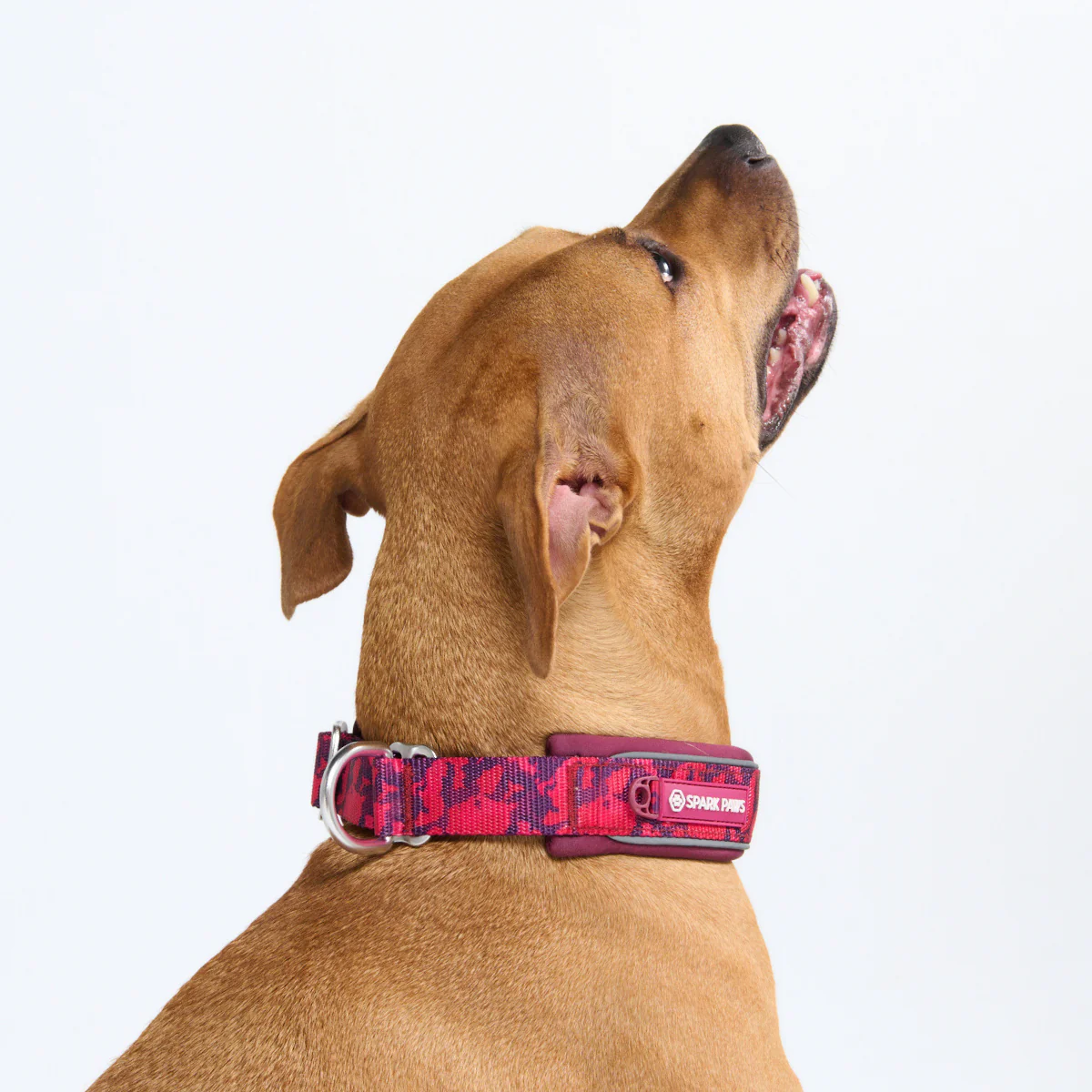 Product image 84